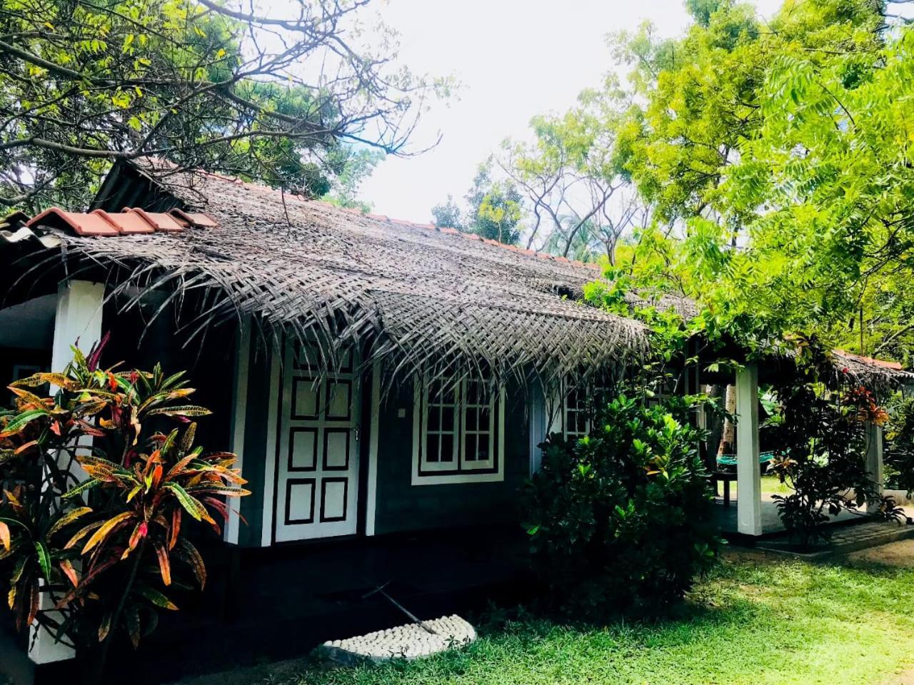 Werala Beach Resort คัลพิทิยา ภายนอก รูปภาพ