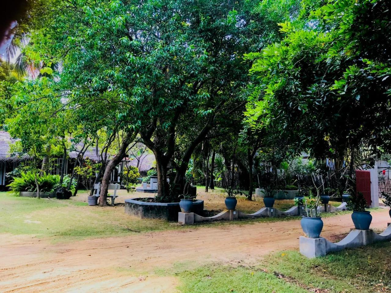 Werala Beach Resort คัลพิทิยา ภายนอก รูปภาพ