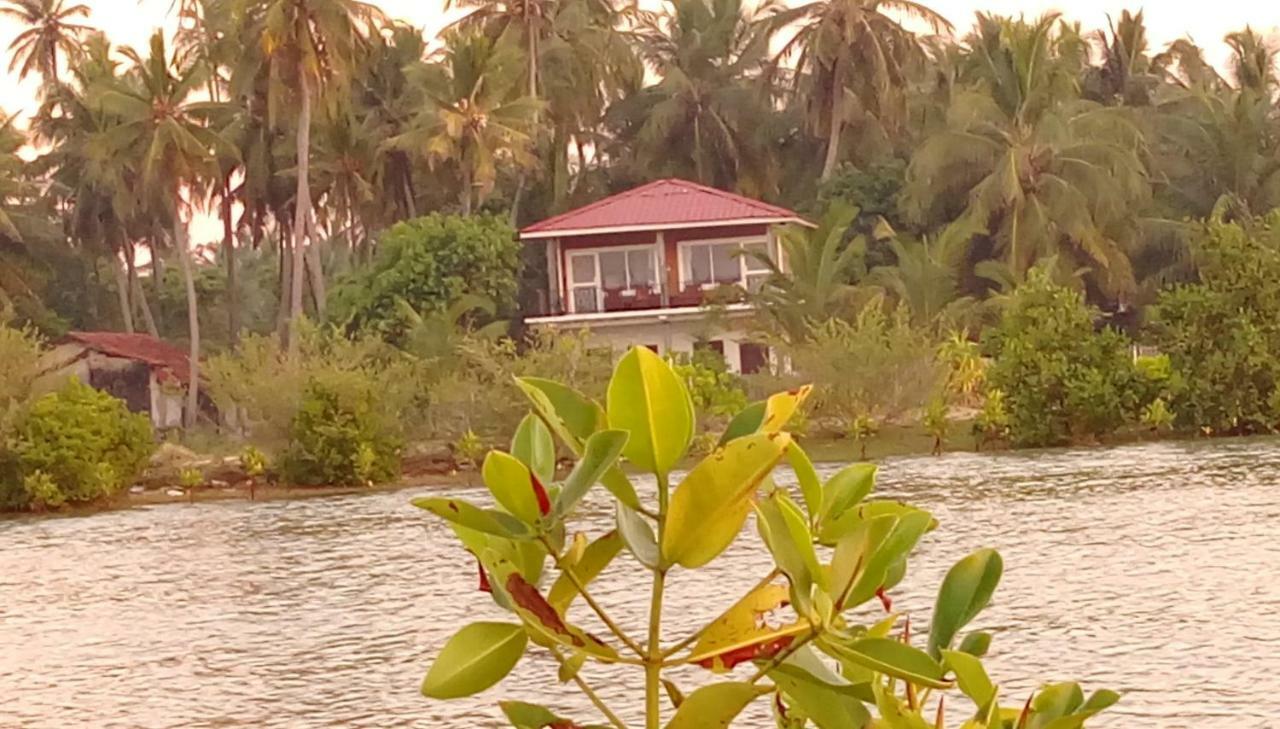Werala Beach Resort คัลพิทิยา ภายนอก รูปภาพ